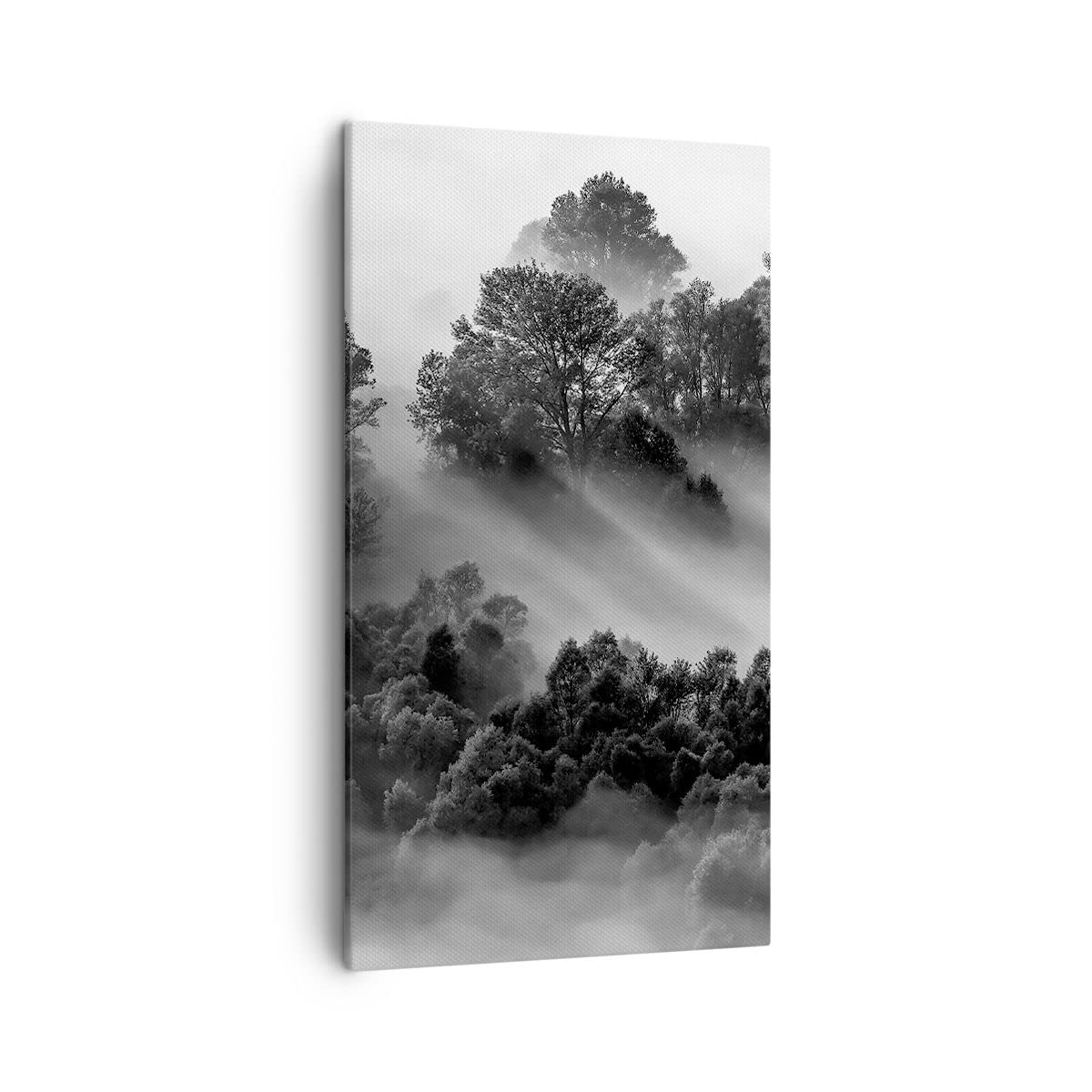 Lienzos decorativos Blanco y negro árboles niebla Cuadro Sobre Lienzo Moderno Vertical 45x80cm Cuadros Decoracion Salon Dormitorio Cocina Cuadros Pared Imágenes Wall Art Prints Decor PA45x80-4510