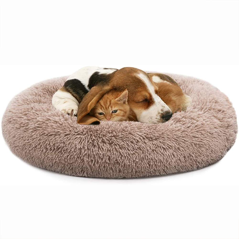 Cuccia A Ciambella Morbida Per Cani E Gatti - Autorisci Caldante, Lavabile In Lavatrice, Taglia Media 50 Cm, Colore Bordeaux