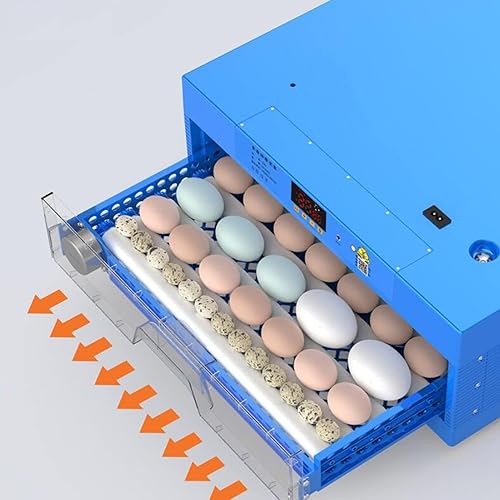 Miniatura 4 de AJLDN Incubadora automática de huevos de 192 huevos, giro automático de huevos LED de alta eficiencia y control de temperatura, incubadoras de