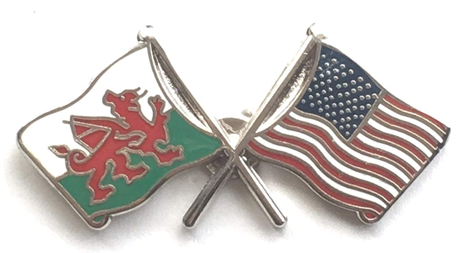 Wales & U.S.A. America Flags Friendship Courtesy Enamel Lapel Pin Badge