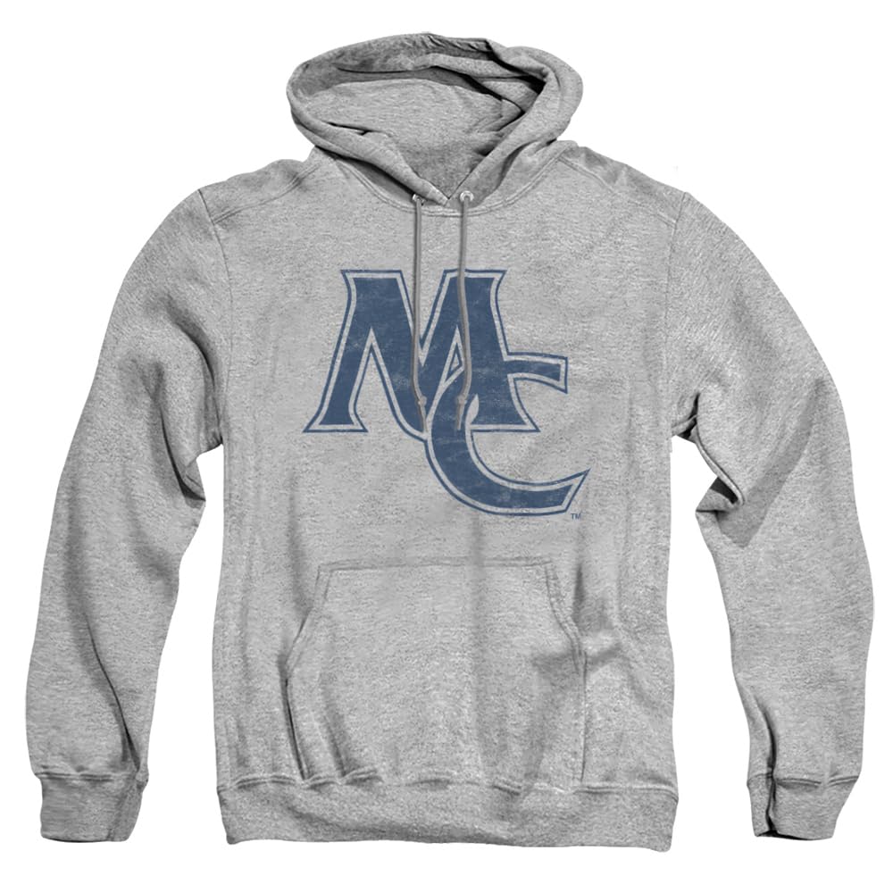 LOGOVISION Official Collegiate Distressed Primary Logo Adult Pullover Hoodie Collection — view 341