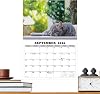 2026 Cat Calendar Wall - 13-Month Planner, Hanging Monthly Calendar | For Home, School, Bedroom, Classroom, Office, Students, Teachers, Workshop, Studio, Dorm