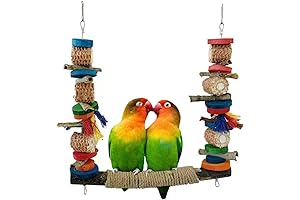 Parrot Swing - A Fun and Bird-Safe Way to Keep Your Feathered Friend Entertained