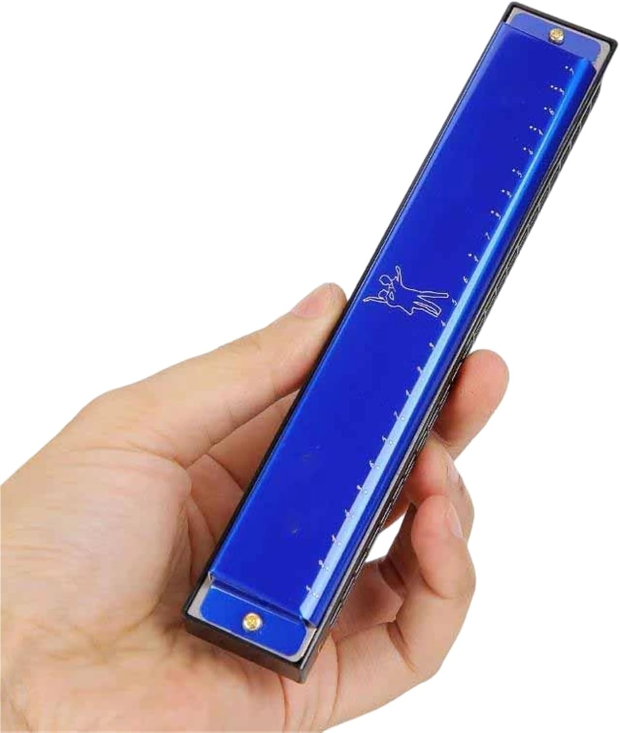 アップグレード版 24穴 オクターブハーモニカ メタル Cキー ボックスマウス付き 初心者に最適(Blue)