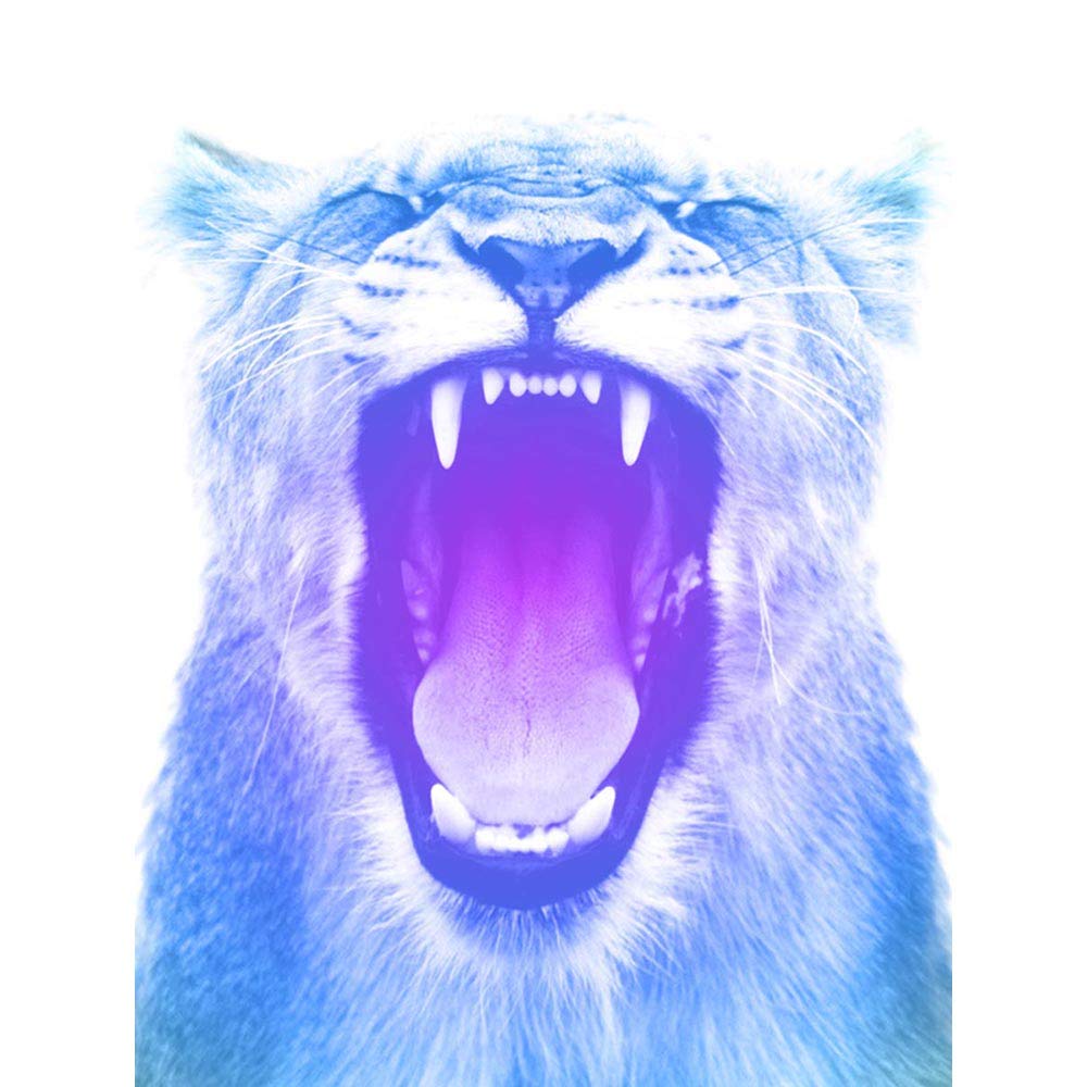 Wee Blue Coo Colourful Roar Lion Unframed Wall Art Print Poster Home Decor Premium