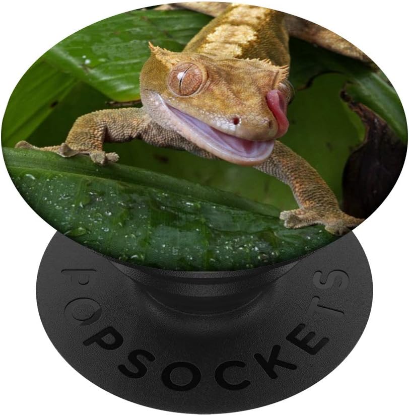 Crested Gecko Gift PopSockets PopGrip: Swappable Grip for Phones & Tablets