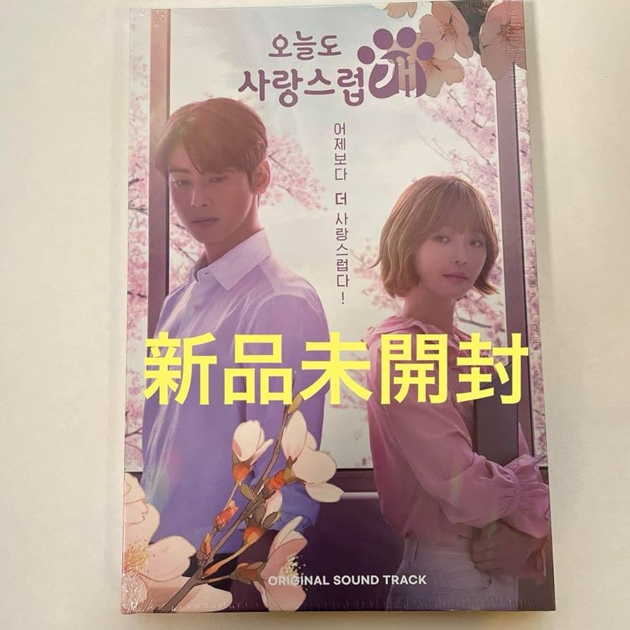 (新品)ワンダフルデイズ OST ドラマ「ワンダフルデイズ」OST | 韓国エンタメ・トレンド情報