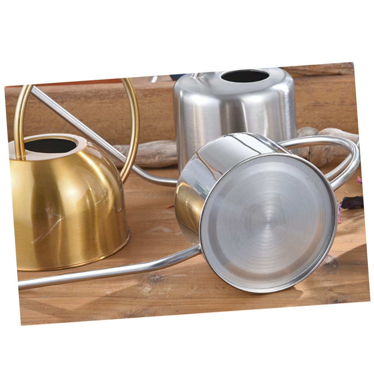 Regadera de Acero Inoxidable 1, 3 L para Suculentas y Flores de Interior