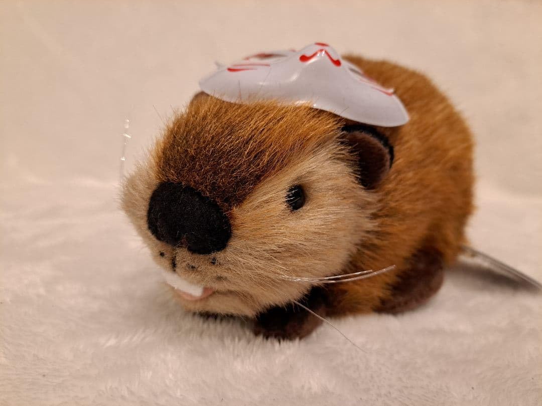 SUPER BEAVER スーパービーバーちゃん　燦然お面付き　ぬいぐるみ Amazon.co.jp: SUPER BEAVER スーパービーバーちゃん 燦然お面付き