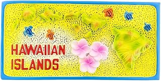 Hawaiian Islands USA Refrigerator Magnet Tourist 3D Souvenir Fridge Decoration Creative Craft