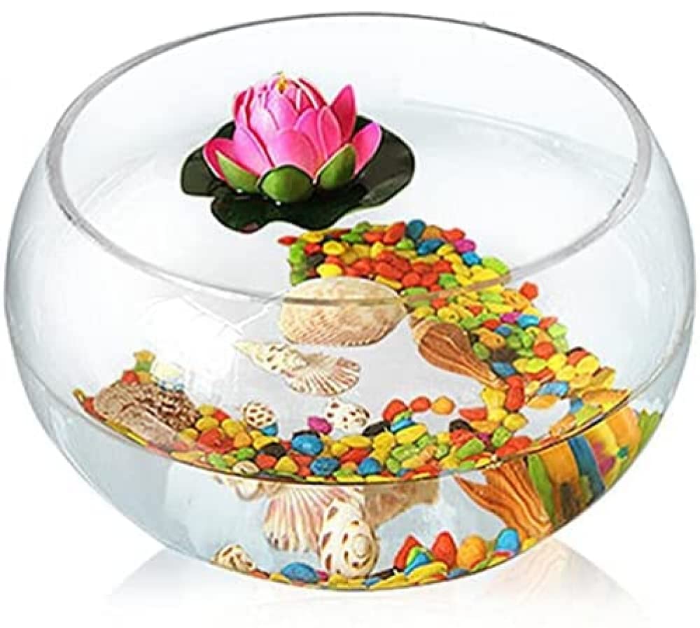 YXSH Acquario per Pesci Rossi Rotondo Trasparente Acquario per Pesci in Vetro Creativo Ecologico Grande Vaso per Acquario Idroponico Tartaruga