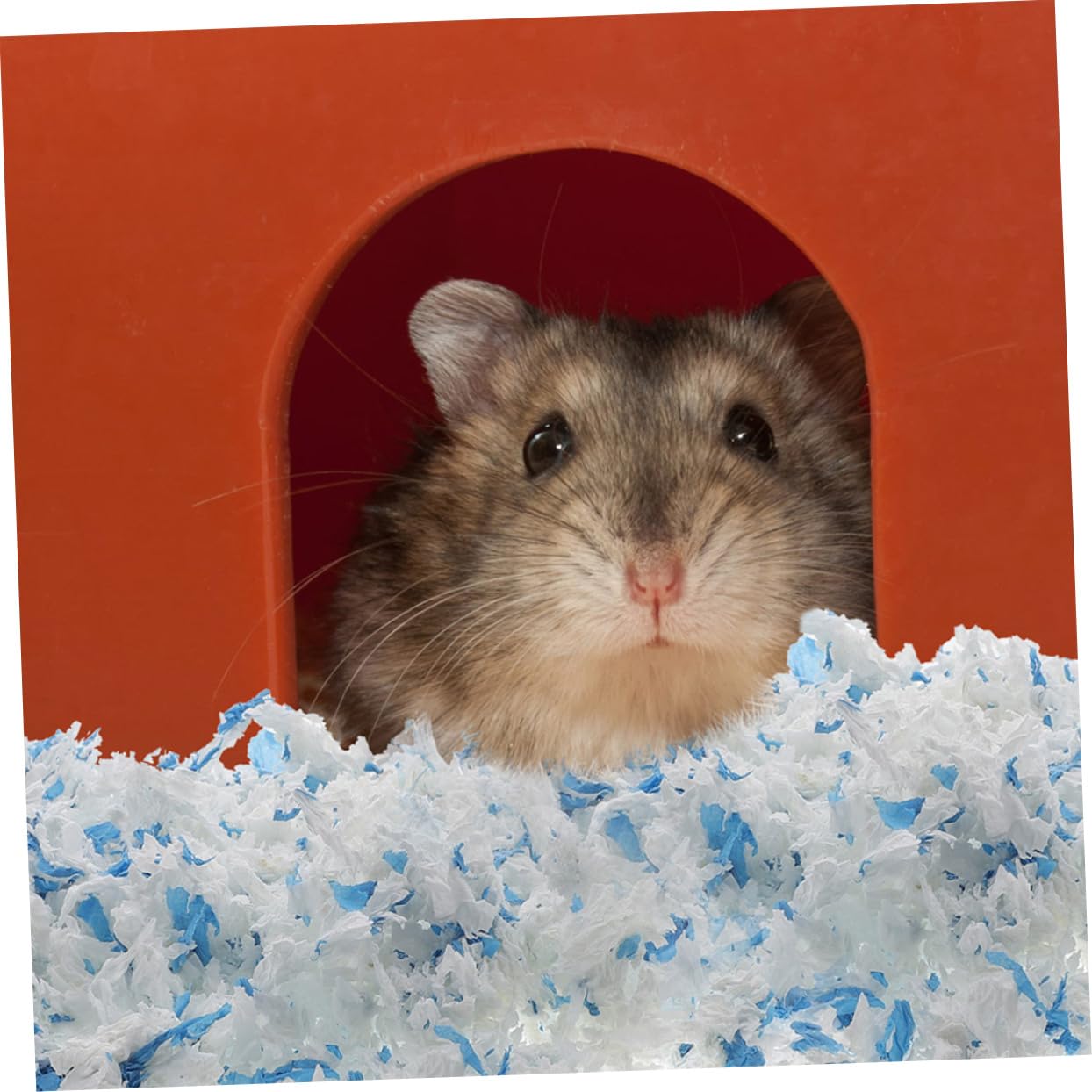 2 Borse Lettiera Naturale per Animali Domestici Lettiera di Carta per Criceti Imbottitura per Nido in Gabbia