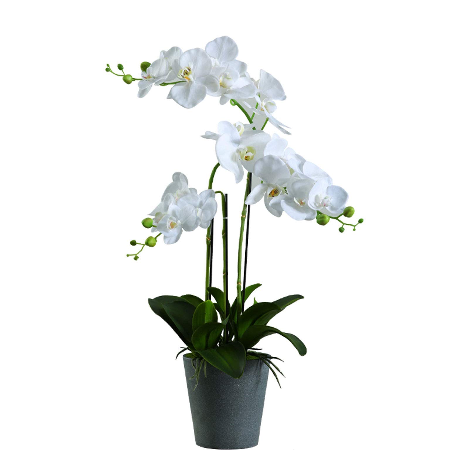 XDLEDMKIZ artificial flower Artificial Butterfly Orchid Flower Simulation Phalaenopsis Bonsai With Vase Dried Flower For Wedding Home Centerpiece Decor White Home decor w