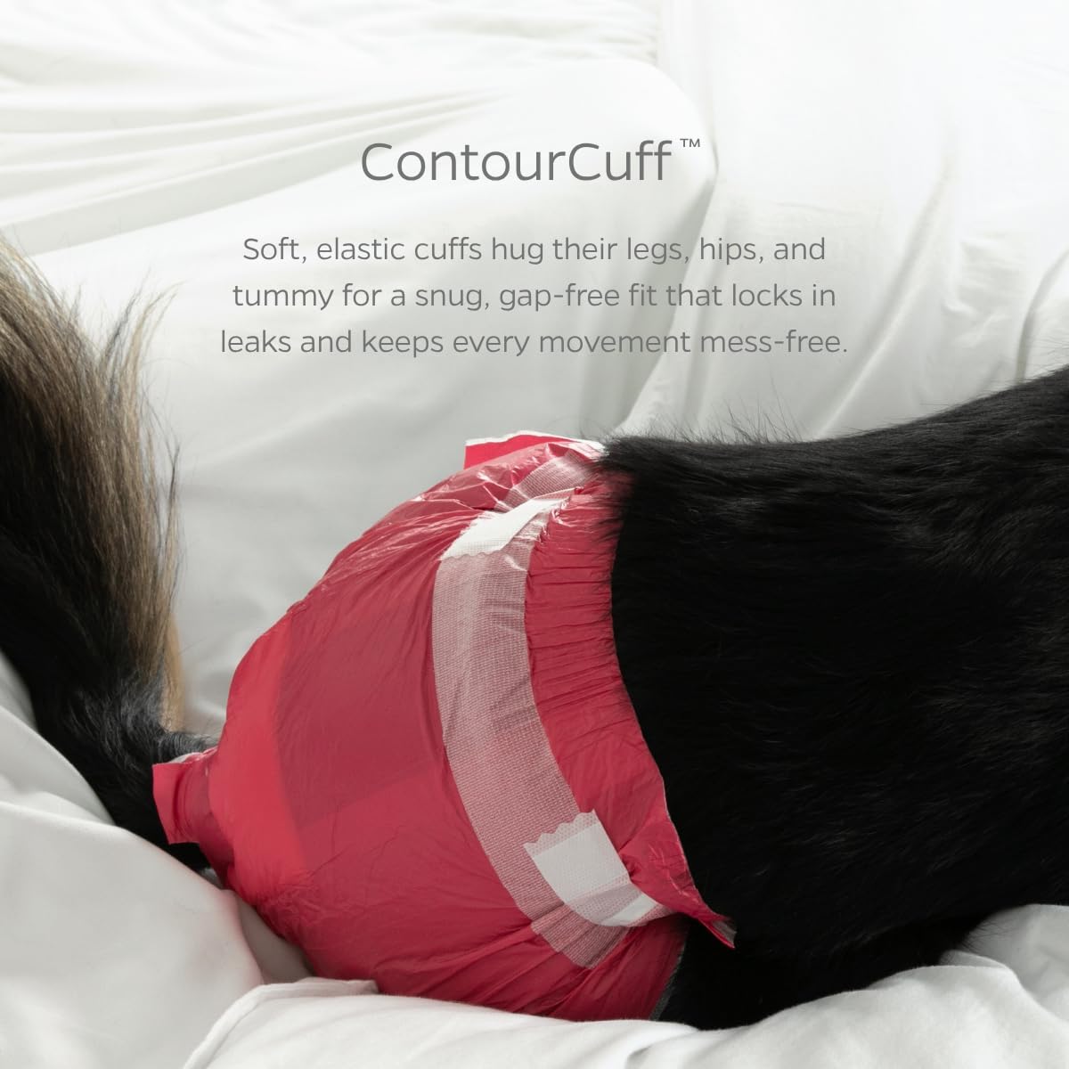 Pet Parents® DiPees® Disposable Dog Diapers   Extendrs®, Leak Proof, Up to 75% Plant Based, Premium Disposable Dog Diapers Female (Princess, Large (17-28), 20ct)