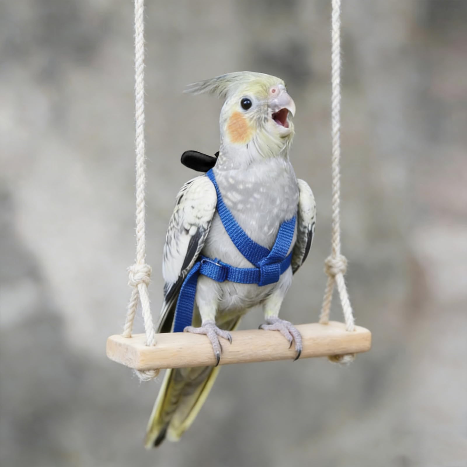 Imbracatura per pappagallo regolabile per animali domestici e uccelli guinzaglio per attività all'aria aperta corda da addestramento cinghia elastica anti-morso per pappagalli cacatos ara