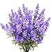 Guagb 12pcs Artificial Lavender Silk Flowers Plastic Fake Plant Make a Bountiful Flower Arrangement Decor Your Outdoor Indoor House (12 Pieces)