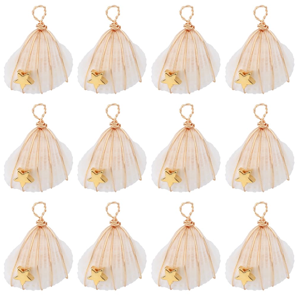 SUNNYCLUE 1 Box 20Pcs Shell Charms White Clam Shell Beads Handmade Wire Wrapped Shells Narural Seashells Star Beads Summer Ocean Hawaii Seashell Charm for jewellery Making Charms DIY Necklace Crafts