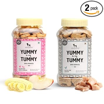 Combo of Real Chicken & Apple and Banana Dog Biscuits - 320g Each - Combo of 2