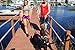 Black Rhino - Premium Hands Free Dog Leash for Running Walking Jogging & Hiking - Adjustable Length Dual Handle Bungee Leash Medium – Large Dog Neoprene Padded Handles - Free Running Pouch Pink/Bla