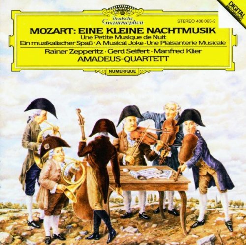 Eine Kleine Nachtmusik / Musical Joke