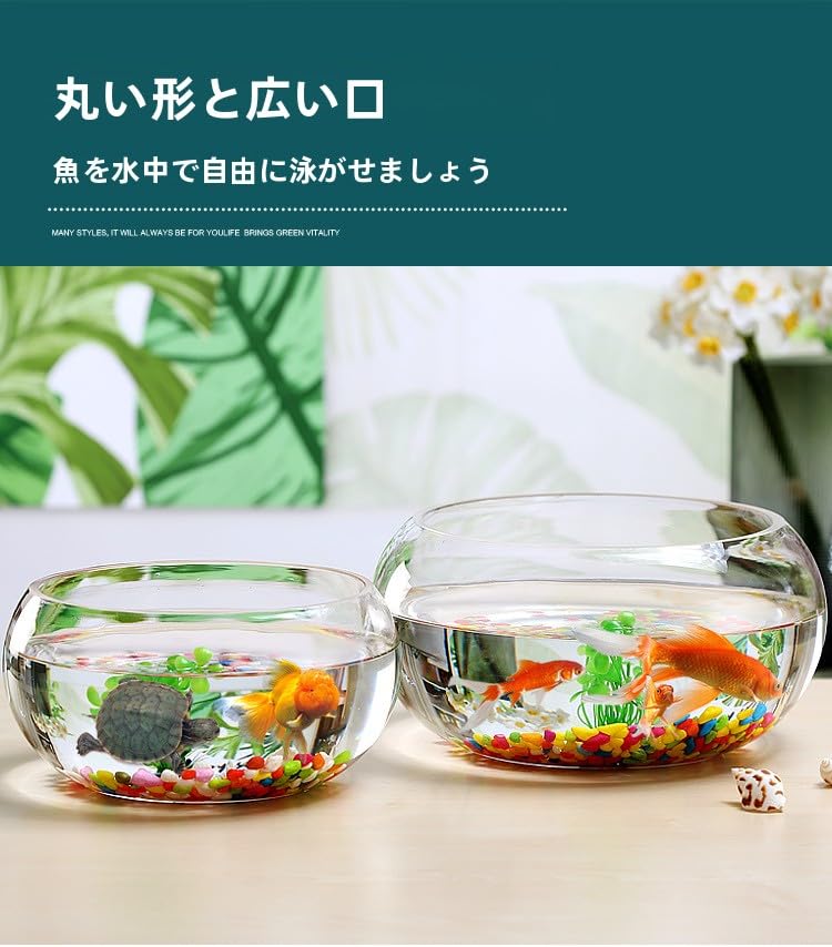 Amazon.co.jp: 金魚鉢 水槽用ボックススク透明ガラスケー金魚水槽