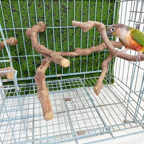 Image of 5 PCS Natural Grape Stick Perch Swing Chewing Toys for Parrot Cages, Cockatiels, Parakeets, Finches - Bird Standing Stick