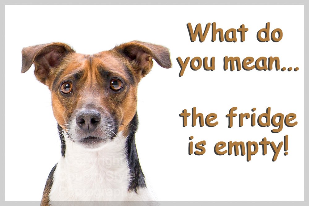 Jack Russell Terrier Funny Fridge Magnet Gift