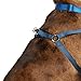 EveryYay Full Dog Harness Navy X-Large/XX-Large