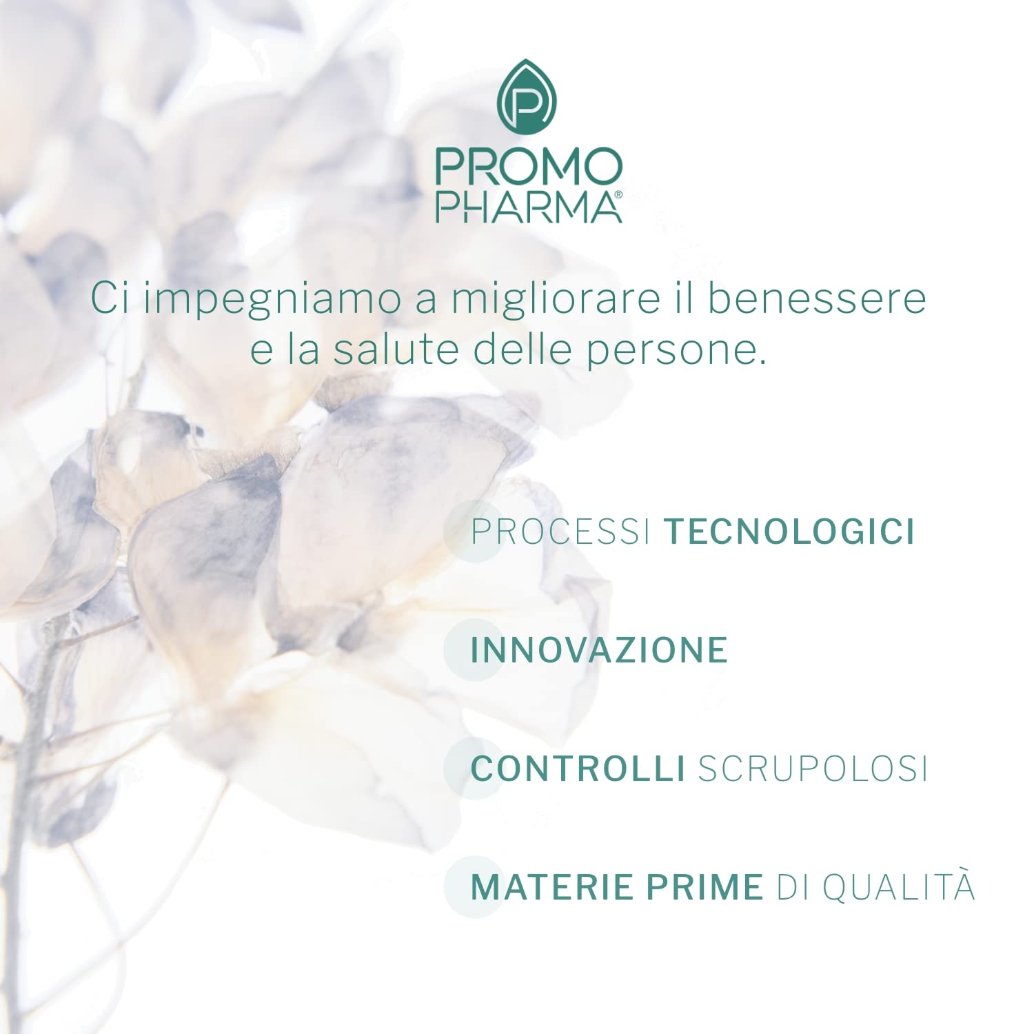 Quercetina Advance - Integratore Alimentare - Con quercetina, Vitamina C, Bromelina, Zinco e Vitamina D - Per le difese immunitarie - 30 cps