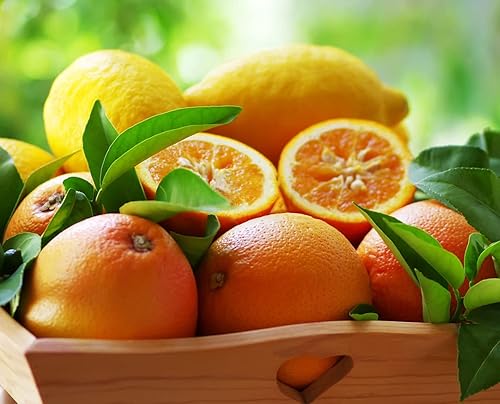 Miniatura 2 de Paquete combinado de semillas de frutas, 6 tipos, fresa, frambuesa, morera, manzana, naranja, arándano, semillas de arándano, reliquia sin OMG y