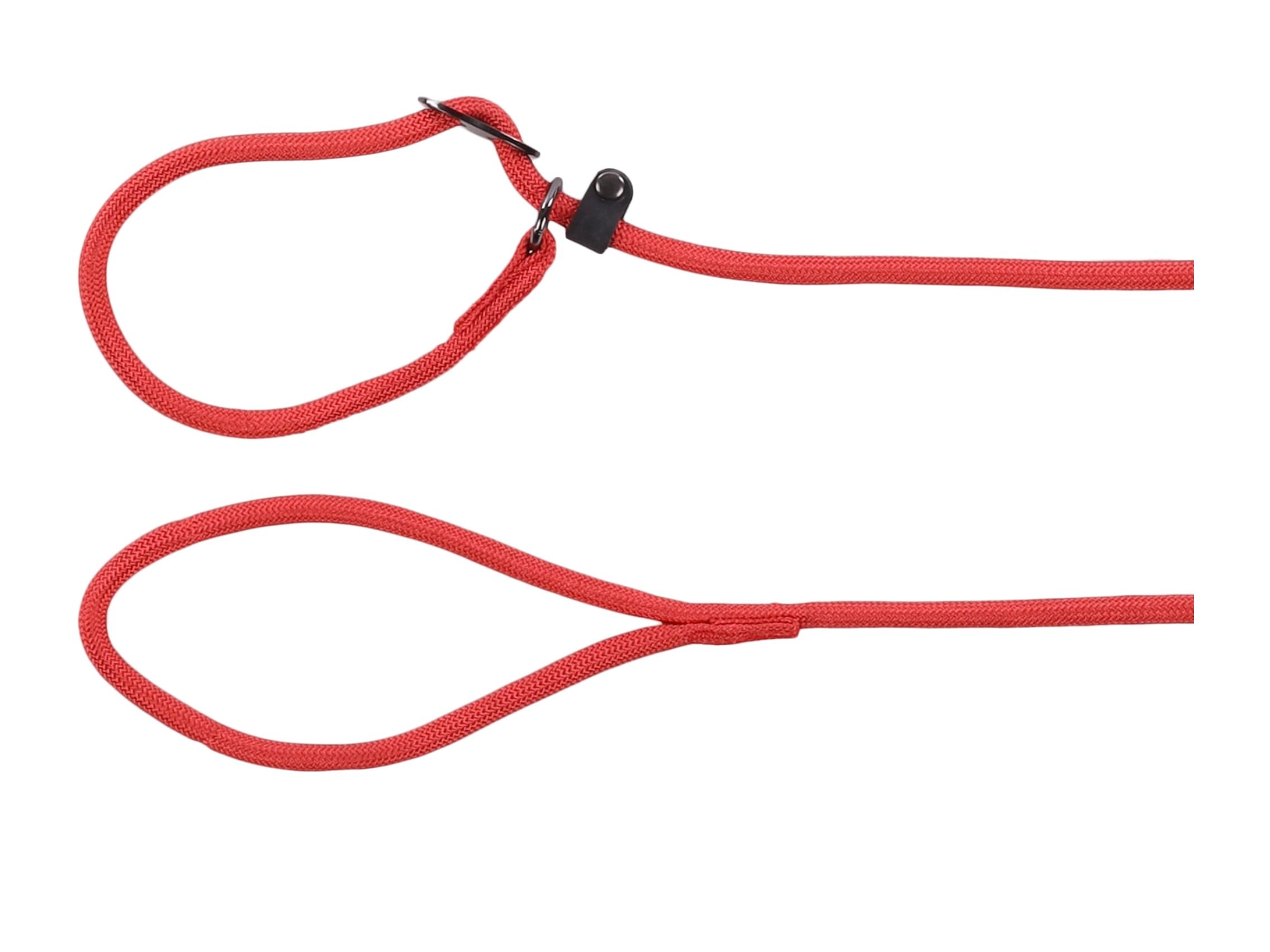 Laisse Anti-​Traction Aiden Rouge 1,​3m 8mm