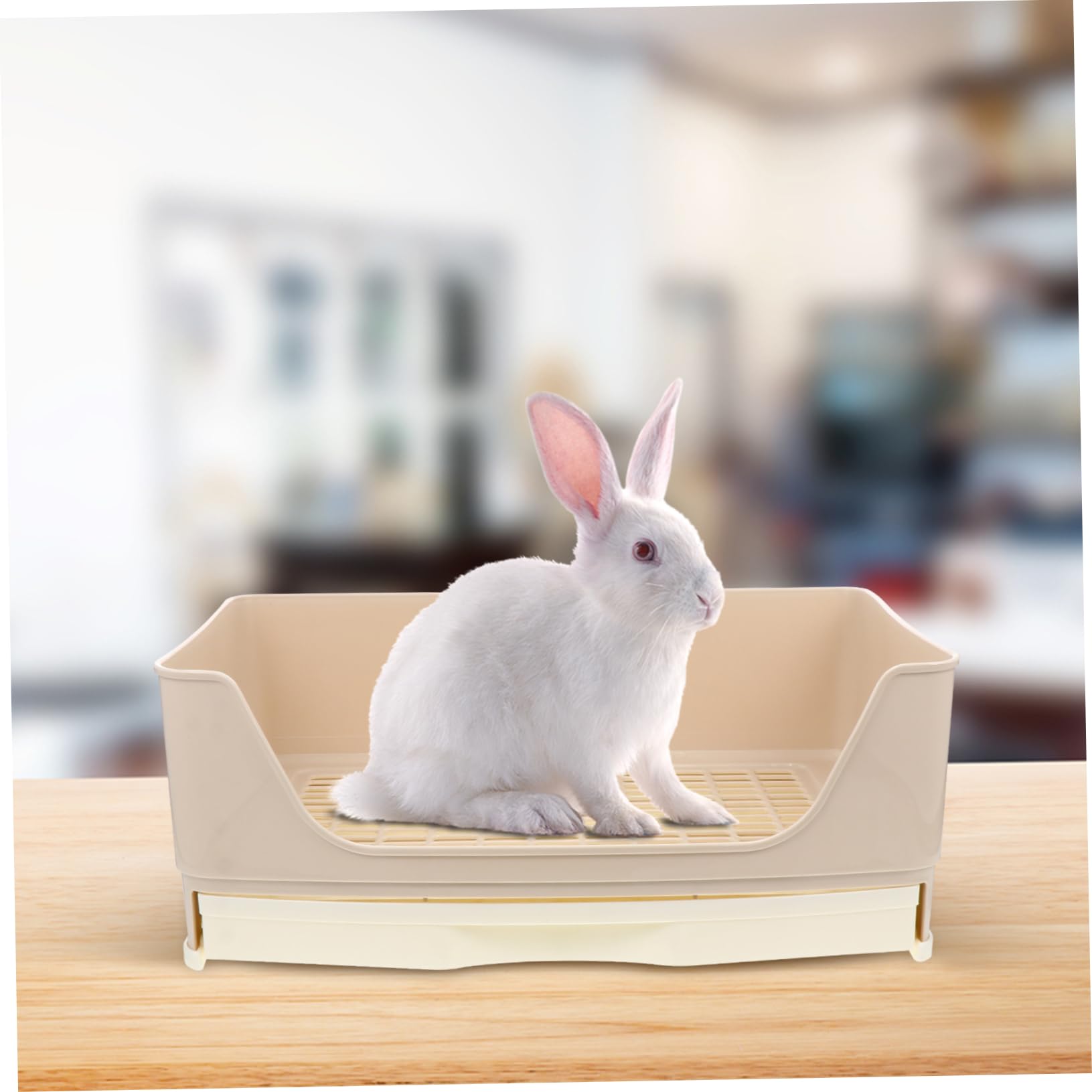 Lettiera per Conigli Grande a Cassetto in Plastica Beige | Cavie Adulte, Previene gli Spruzzi, Base Antiscivolo, Facile da Pulire, Spazio Ampio