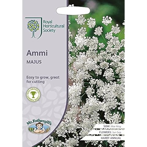 Mr Fothergills - Flower - RHS Ammi Majus - 500 Seeds Cover