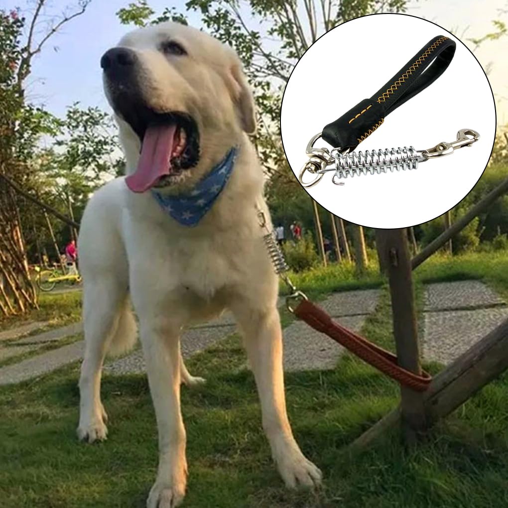 Juego de 10 correas para perro, suministros para mascotas, accesorios exquisitos para exteriores, estructura firme de alta resistencia, ajustable, gancho profesional para cinturón