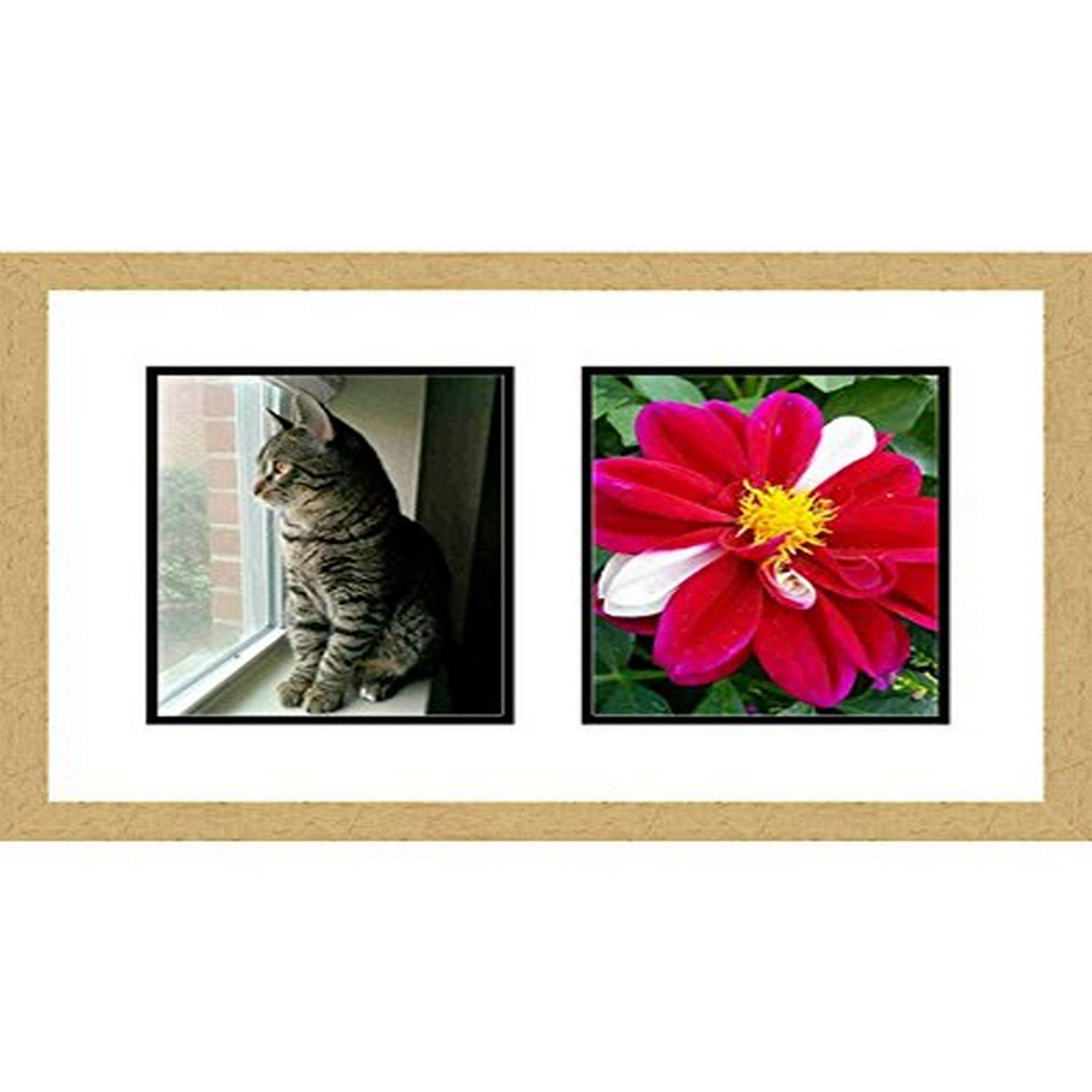 Frames by Mail multimat58693aam0114 Double Square Opening Collage Frame for 8" x 10" Photo