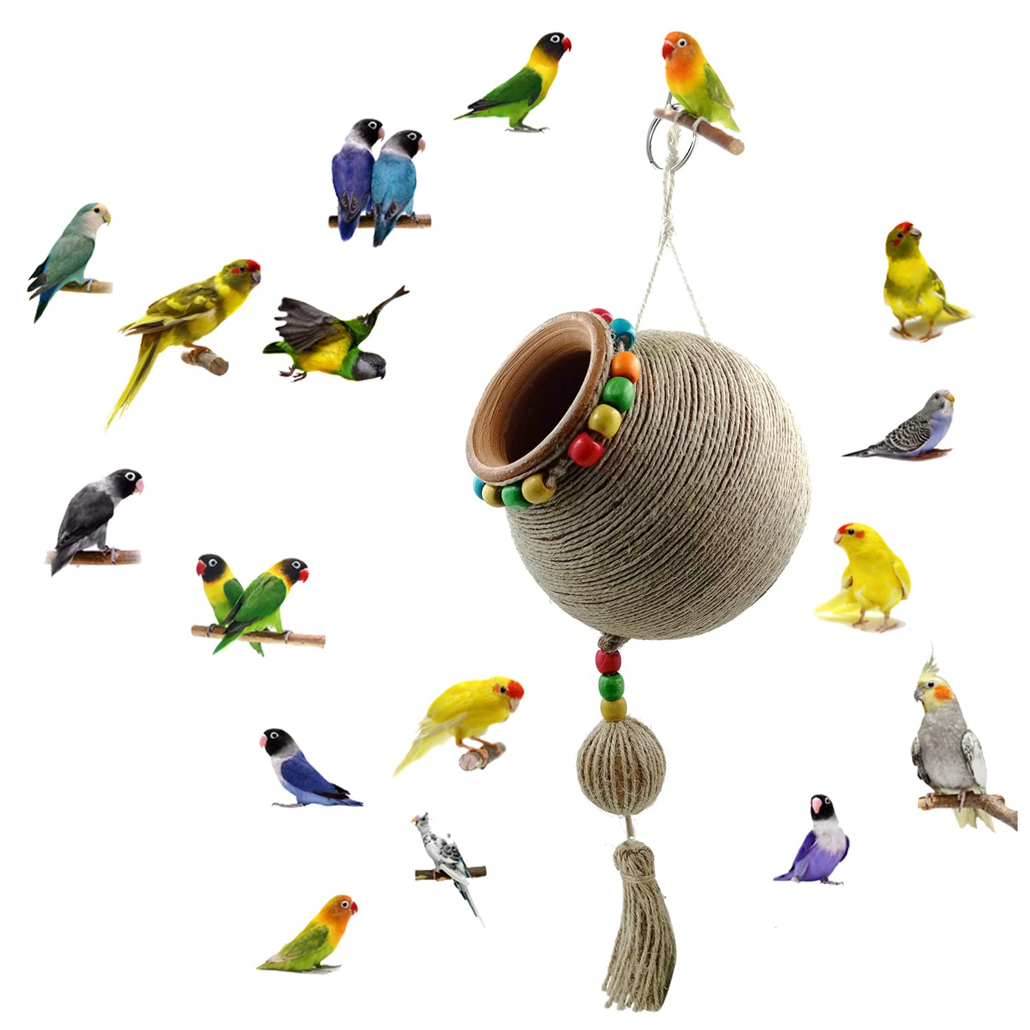 See full amazon price history chart for Jainsons Pet Products Natural Earthenware Bird House, Hand Made Hummingbird Nest, Small Parakeets Cockatiels, Conures, Macaws, Lovebirds Bird House for Garden Window Outdoor Home Decoration (1pcs) Jainsons Pet Products Natural Earthenware Bird House, Hand Made Hummingbird Nest, Small Parakeets Cockatiels, Conures, Macaws, Lovebirds Bird House for Garden Window Outdoor Home Decoration (1pcs) (B09MN29F7X) Amazon Price History, Amazon Price Tracker