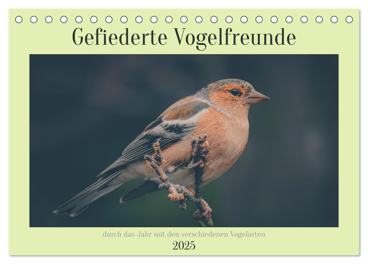 Gefiederte Vogelfreunde (Tischkalender 2025 DIN A5 quer), CALVENDO Monatskalender: Unsere heimischen Vogelarten im Porträt. (CALVENDO Tiere)