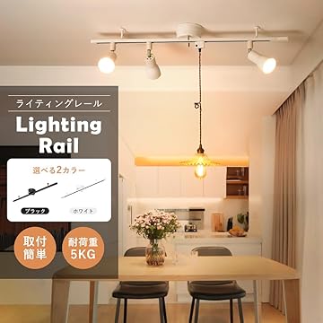 ライティングレール2本850×450×1000 Amazon | ライティングレール照明器具2灯式トラフ型