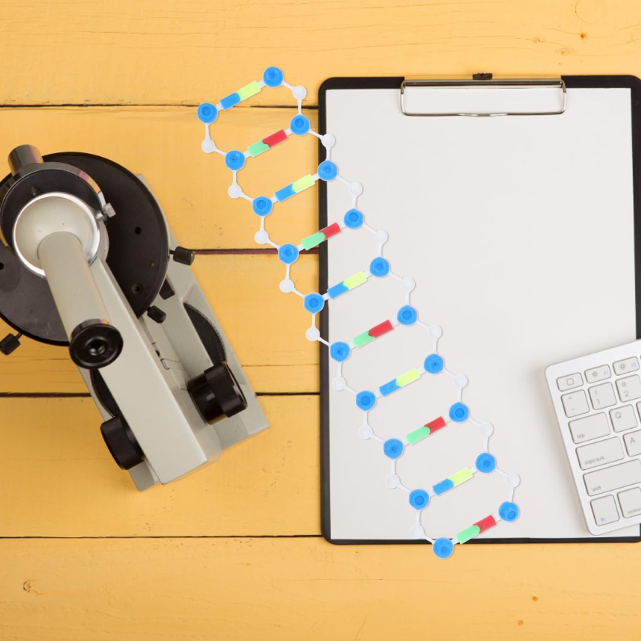 Mobestech DNA Model Kit Double Helix Molecular Structure Science Classroom Decor Educational Model for Genetics Learning and Mutation Exploration