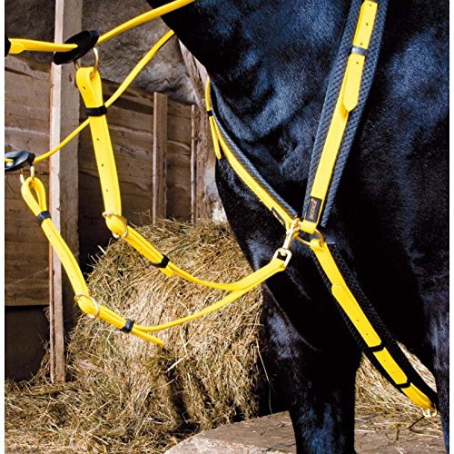T · de · T – Collar de Caza Biotack