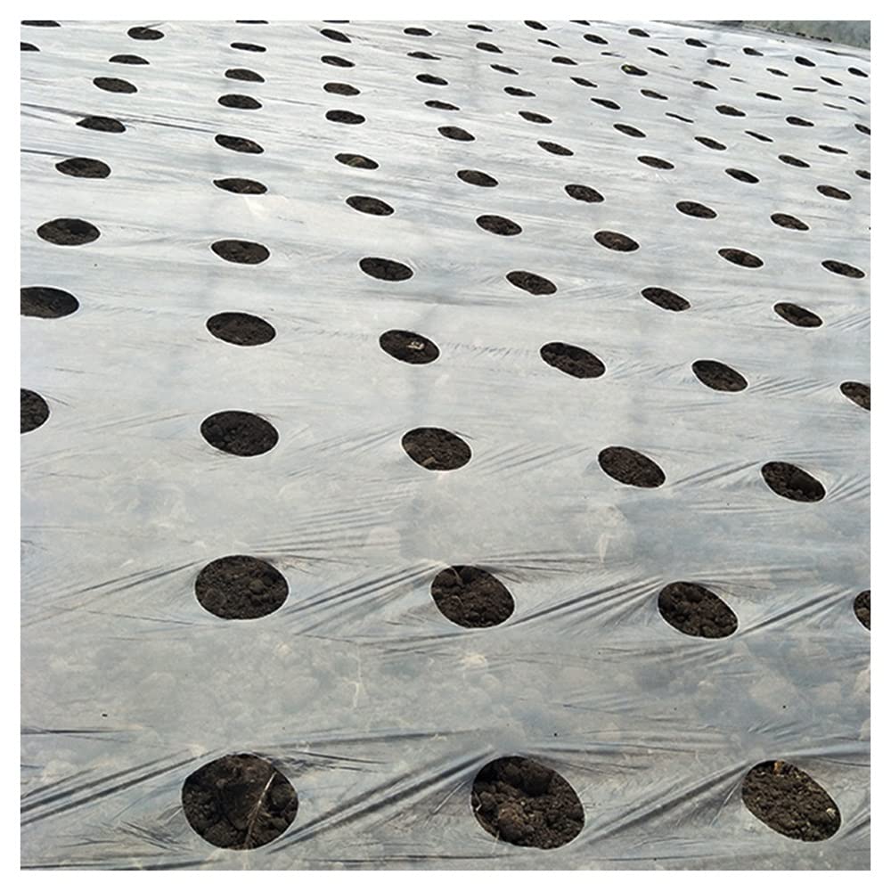 Fogli Di Polietilene Dimensioni Copertura Vegetale 5~50m 0.02mm 5 Fori Ortaggi Da Giardino Piante Coltivare Nero Pellicola Di Protezione Della Copertura Serra Weed Control Perforato Film Per Crescita Piante