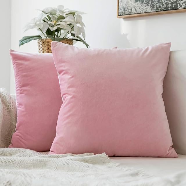 MIULEE Pack of 2 Velvet Soft Decorative Square Throw Pillow Case Cushion Covers Luxury Pillowcases for Livingroom Sofa Bedroom with Invisible Zipper 50cm x 50cm 20x20 Inches Sakura Pink