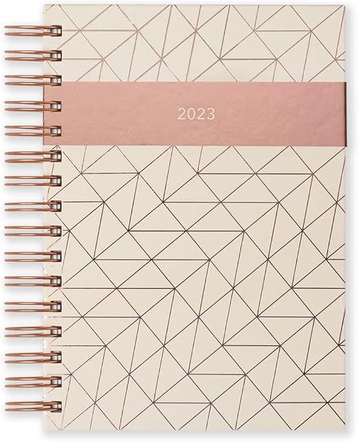 Matilda Myres 2023 A5 Rose Gold Wiro Day a Page Diary - Ivory