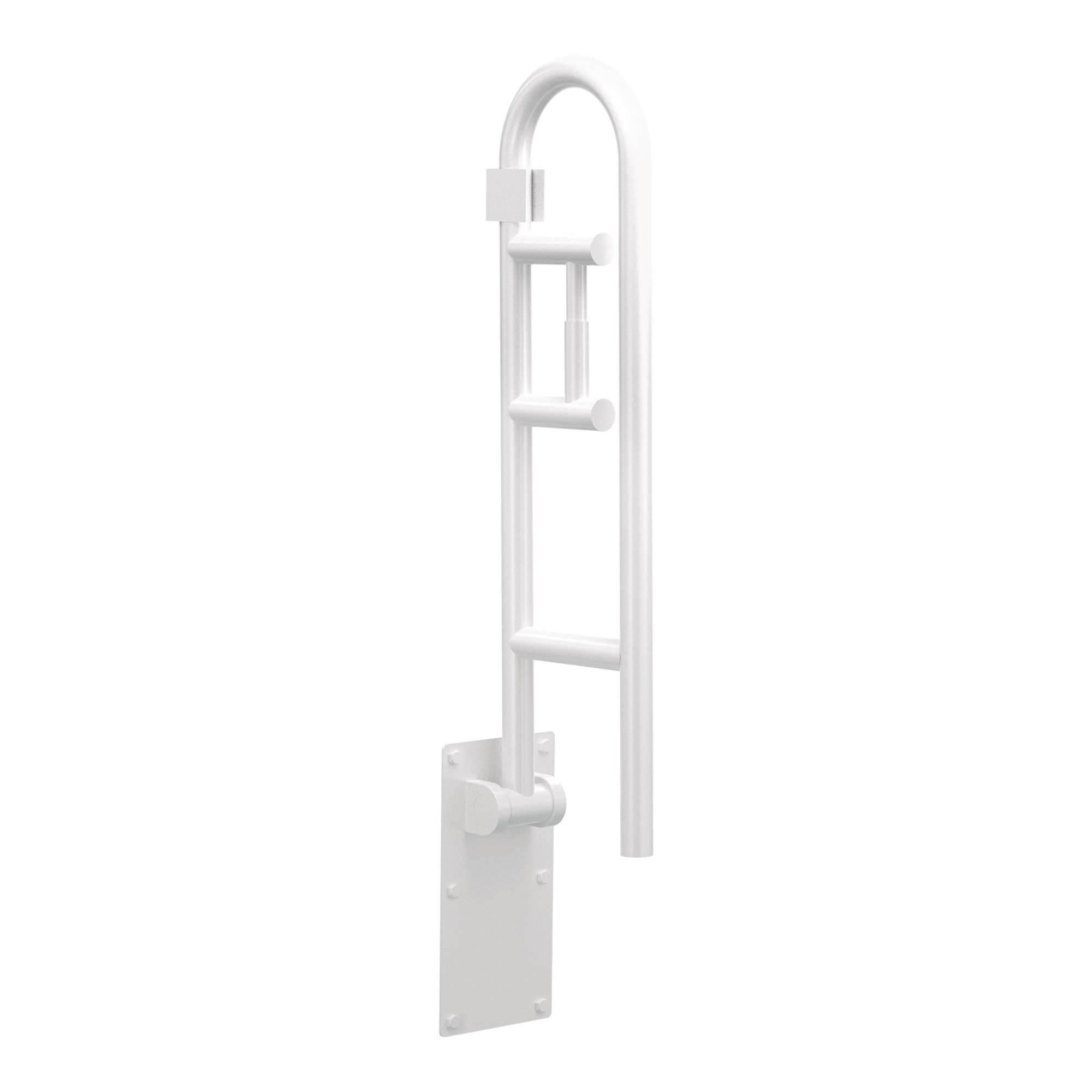 Moen R8962FDW Home Care 30-Inch Flip-Up Bathroom Grab Bar with Toilet Paper Holder, Glacier