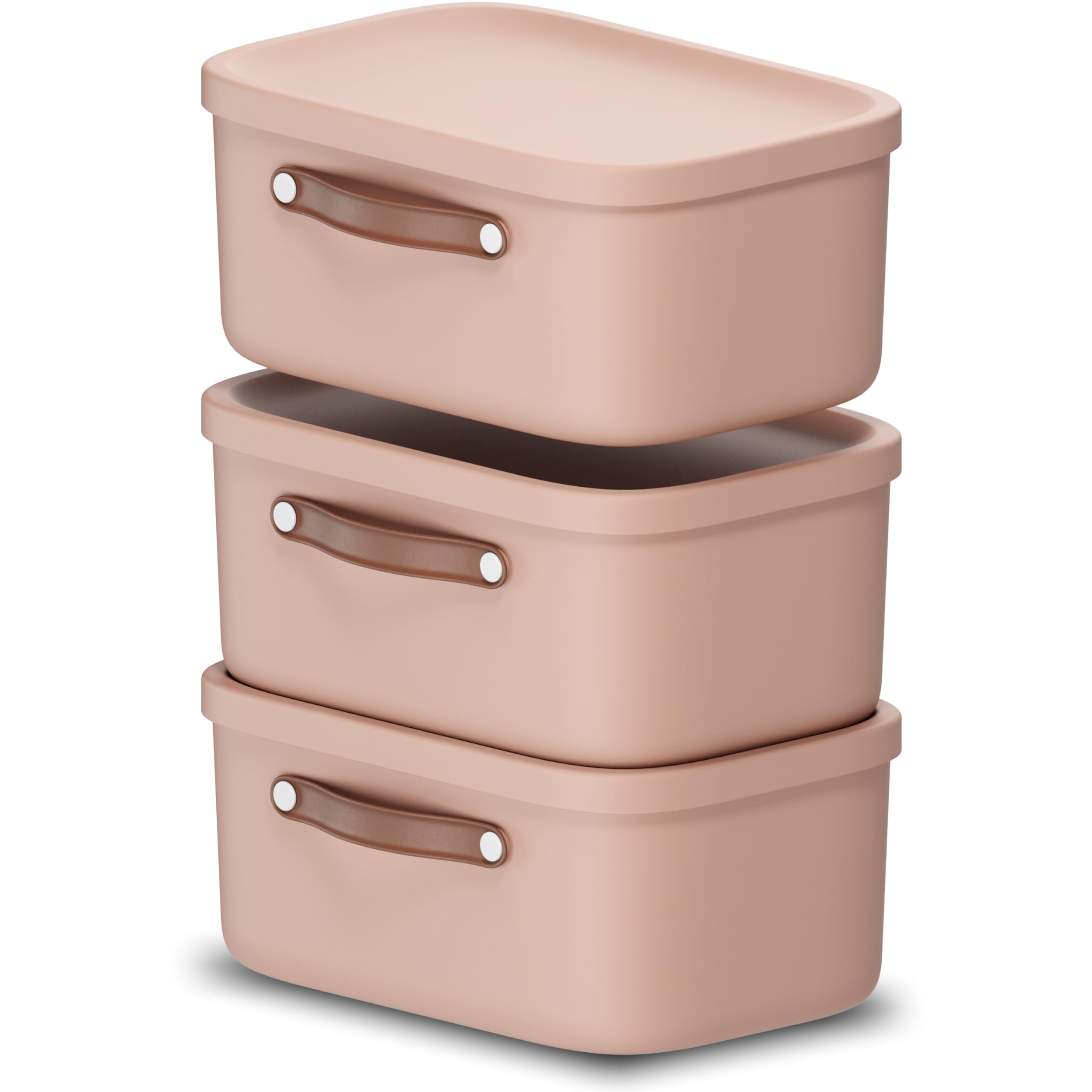 Rotho Maloja 3er-Set Aufbewahrungsbox mit Deckel 12l, Kunststoff, rosa, 12 (39.5 x 26.5 x 17.7 cm)