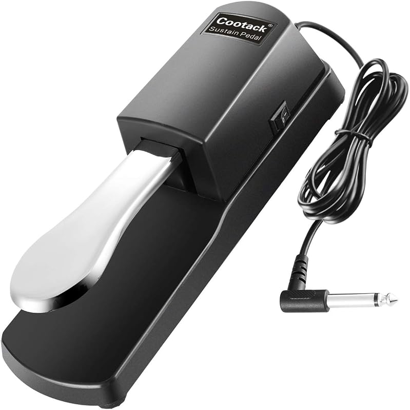 Universal Sustain Pedal Suitable for Yamaha Casio Roland Electronic Keyboards, Digital Piano & More Silver