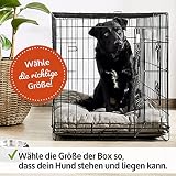zooprinz Faltbare Hundebox aus stabilem Eisen – Hundekäfig mit 2 Türen – inklusive Bodenschale für deinen Hund – mit Transportgriff – in 4 Größen verfügbar (77,5 x 48,5 x 55,5 cm)