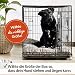 zooprinz Faltbare Hundebox aus stabilem Eisen – Hundekäfig mit 2 Türen – inklusive Bodenschale für deinen Hund – mit Transportgriff – in 4 Größen verfügbar (77,5 x 48,5 x 55,5 cm)