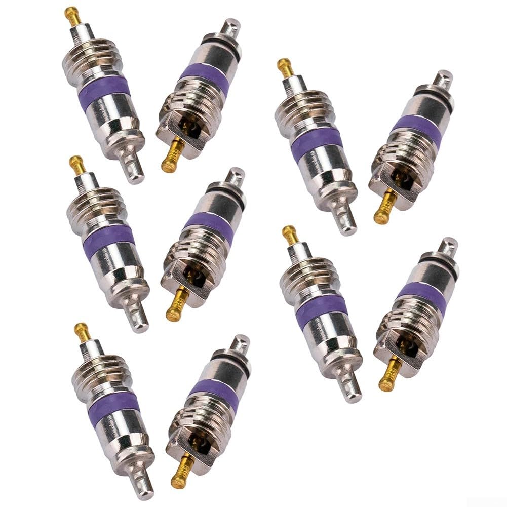 10 Stück große Bohrung A/C Ventilkern für BMW für Mercedes für Benz für Ford | AC-Ventil Ersatzteil kompatibel mit 8E0820855 64536922944 MT1544| Metallkonstruktion