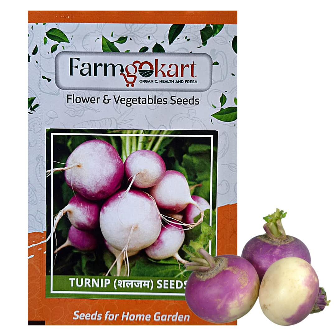 Farmgokart |TURNIP PURPLE TOP SEEDS (Appx 800 Nos Seeds Per Packet) |Best Suitable For Home Gardening | (B09N1LJB2V) Amazon Price History, Amazon Price Tracker